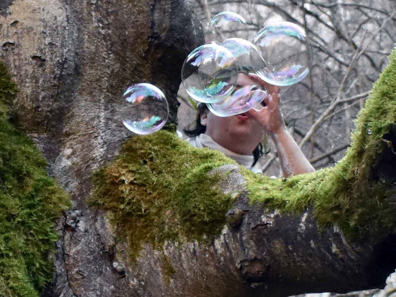 burbujas gigantes en el bosque